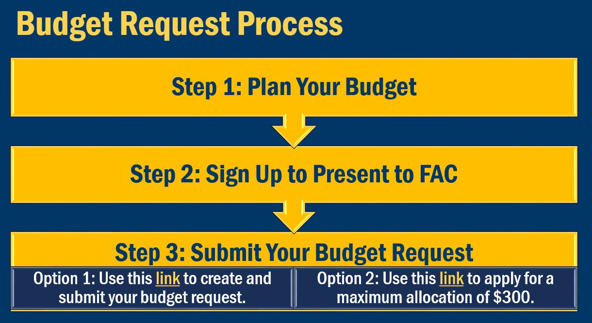 RSO Budget Request Steps