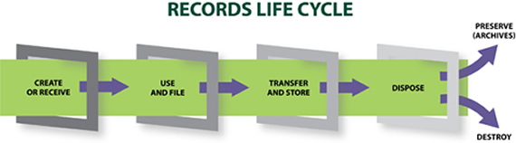 new_records_cycle