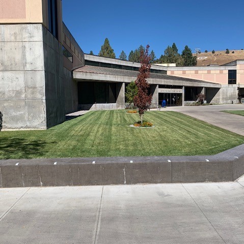 Completed Landscape Improvements