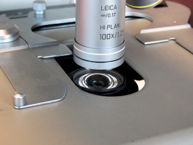 Hematology Lab Microscope
