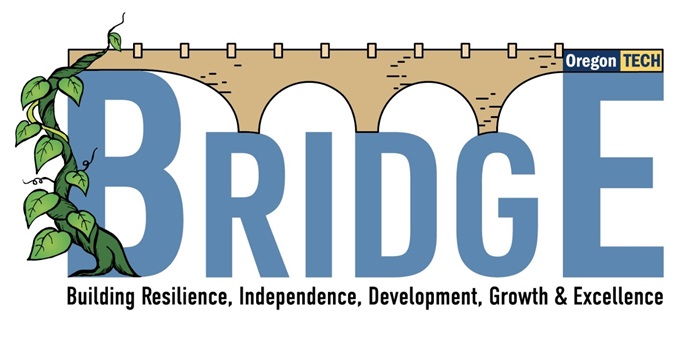 Bridge Logo