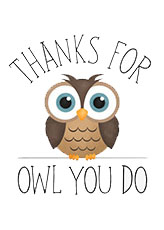 Recognition Owl-small Recognition Owl-small