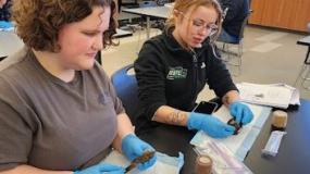 Bird exams