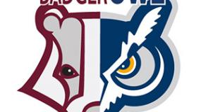 Badger-to-owl-logo-Final