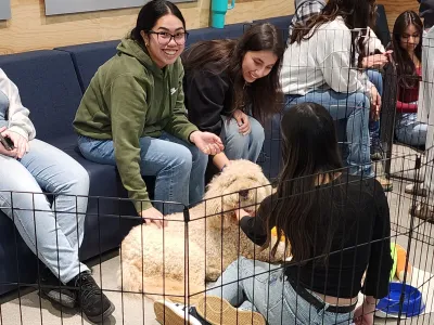 Students destress during finals week with puppies.