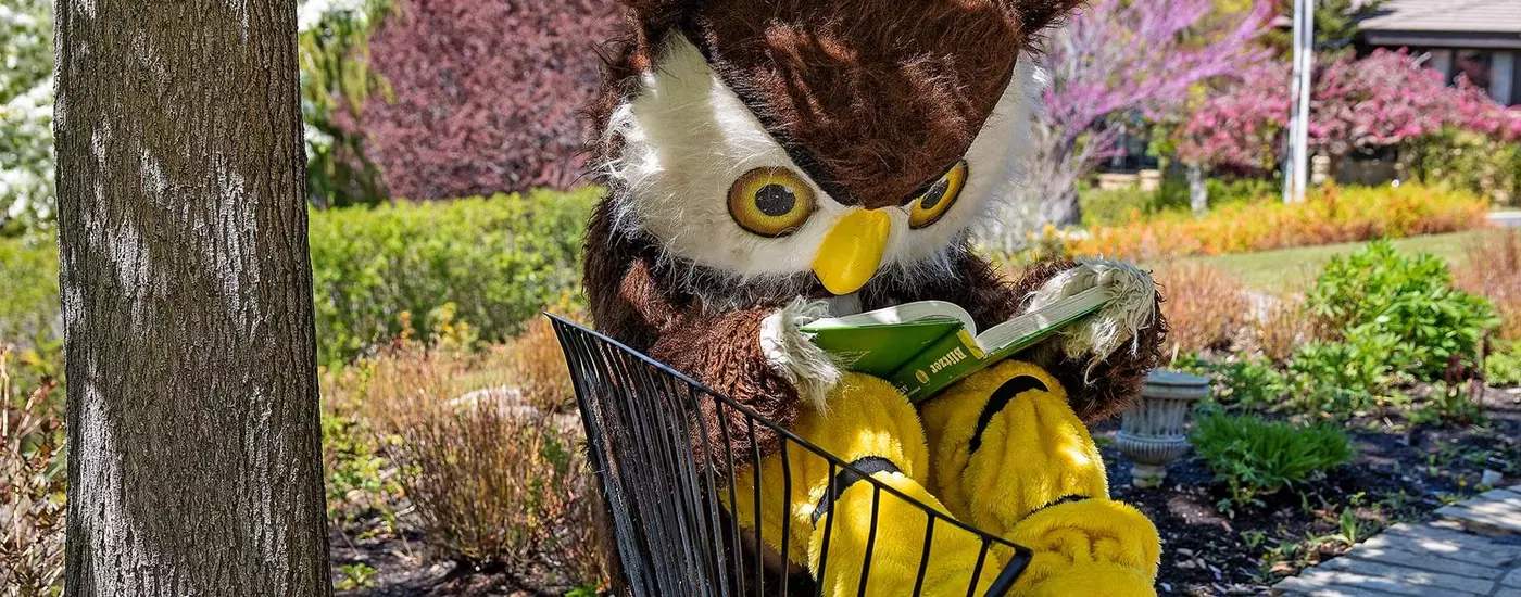 Hootie on Bench Studying