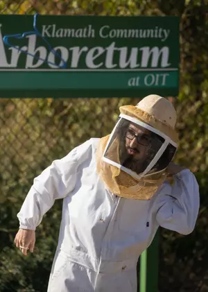 Filip Trier preparing to check the bees