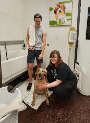 Amina Norris helping bathe a dog at the Klamath Animal Shelter