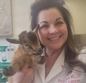 Tricia Elliot with a baby goat in BIO 216